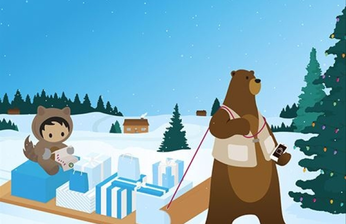 Salesforce - Analisi dello shopping Natalizio nel 2017