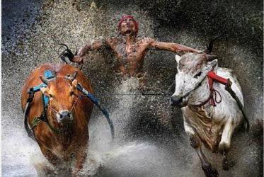 WORLD PRESS PHOTO 2012 IN MOSTRA ALLA GALLERIA CARLA SOZZANI