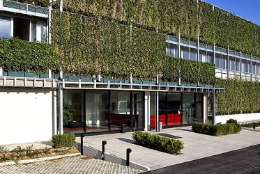 Moda e ambiente: braccialini sposa “Verde dentro”