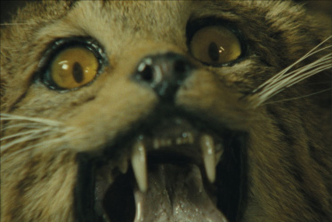 Fault Lines: Allora&Calzadilla alla Fondazione Nicola Trussardi