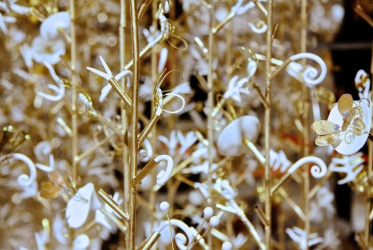 “Hanging Garden” alla Galleria Carla Sozzani