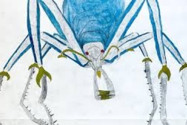 Max Mara e Maramotti Collection presentano “ Uomini come cibo”