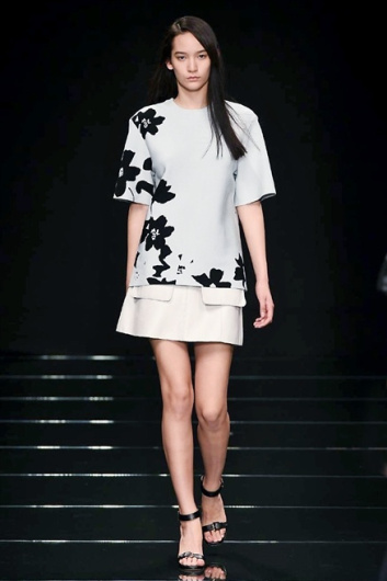 Fotoservizio/SS 2015/WOMEN/ANTEPRIMA/DP1/14