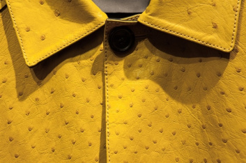 Fotoservizio/FW 2015-2016/MEN/BALLY/DP2/95
