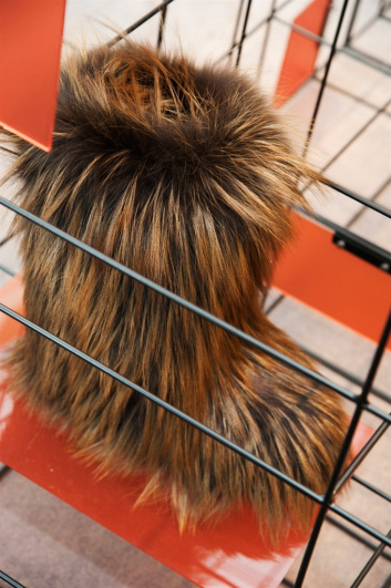 Fotoservizio/FW 2015-2016/WOMEN/SANTONI/DP2/69