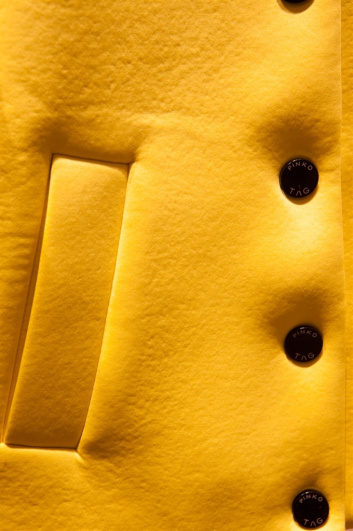 Fotoservizio/FW 2015-2016/WOMEN/PINKO/DP2/37