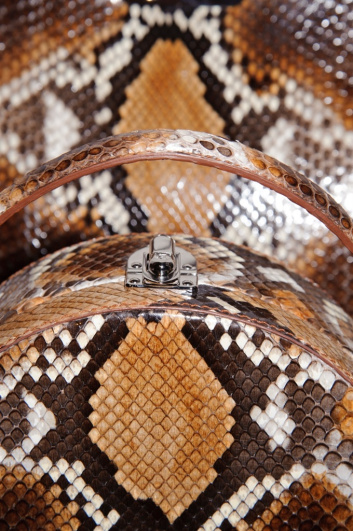 Fotoservizio/SS 2016/MEN/BERTONI 1949/DP2/28