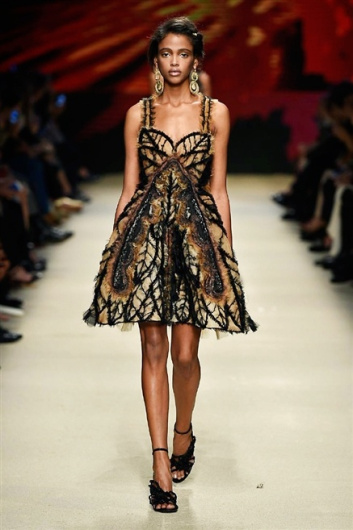 Fotoservizio/SS 2016/WOMEN/ALBERTA FERRETTI/DP1/62