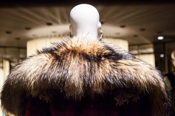Fotoservizio/FW 18-19/WOMEN/DSQUARED2/DP2/19