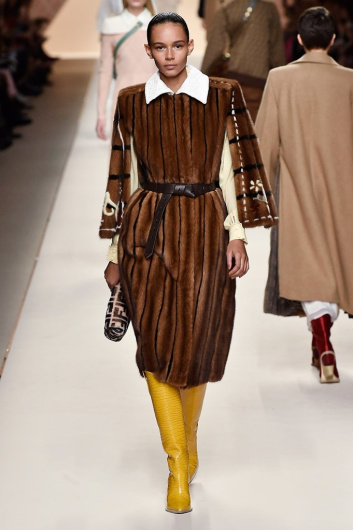 Fotoservizio/FW 18-19/WOMEN/FENDI/DP2/1