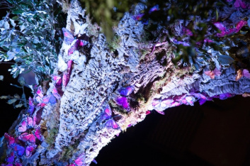 Fotoservizio/SS 2016/WOMEN/AGNONA/DP2/13