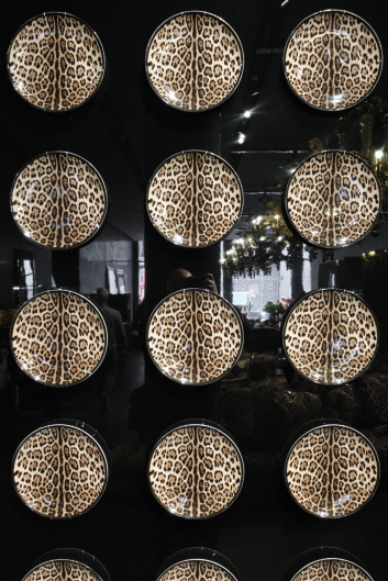 Fotoservizio/SS 2023/DESIGN/EVENTO_CULTURALE/DOLCE & GABBANA CASA/DP2/16