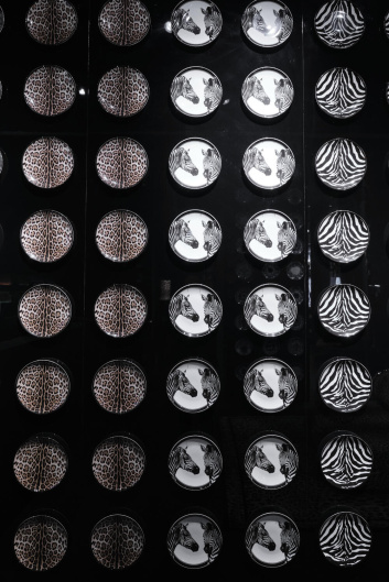 Fotoservizio/SS 2023/DESIGN/EVENTO_CULTURALE/DOLCE & GABBANA CASA/DP2/30