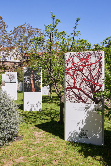 Fotoservizio/SS 2023/DESIGN/EVENTO/THEMOIRÈ/DP2/3