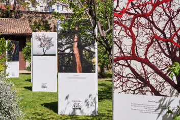 Fotoservizio/SS 2023/DESIGN/EVENTO/THEMOIRÈ/DP2/4