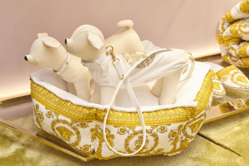 Fotoservizio/SS 2024/DESIGN/EVENTO_CULTURALE/VERSACE/DP2/18