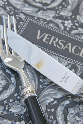 Fotoservizio/SS 2024/DESIGN/EVENTO_CULTURALE/VERSACE/DP2/33