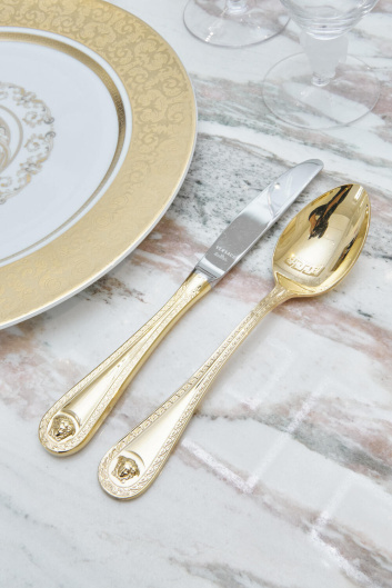 Fotoservizio/SS 2024/DESIGN/EVENTO_CULTURALE/VERSACE/DP2/85