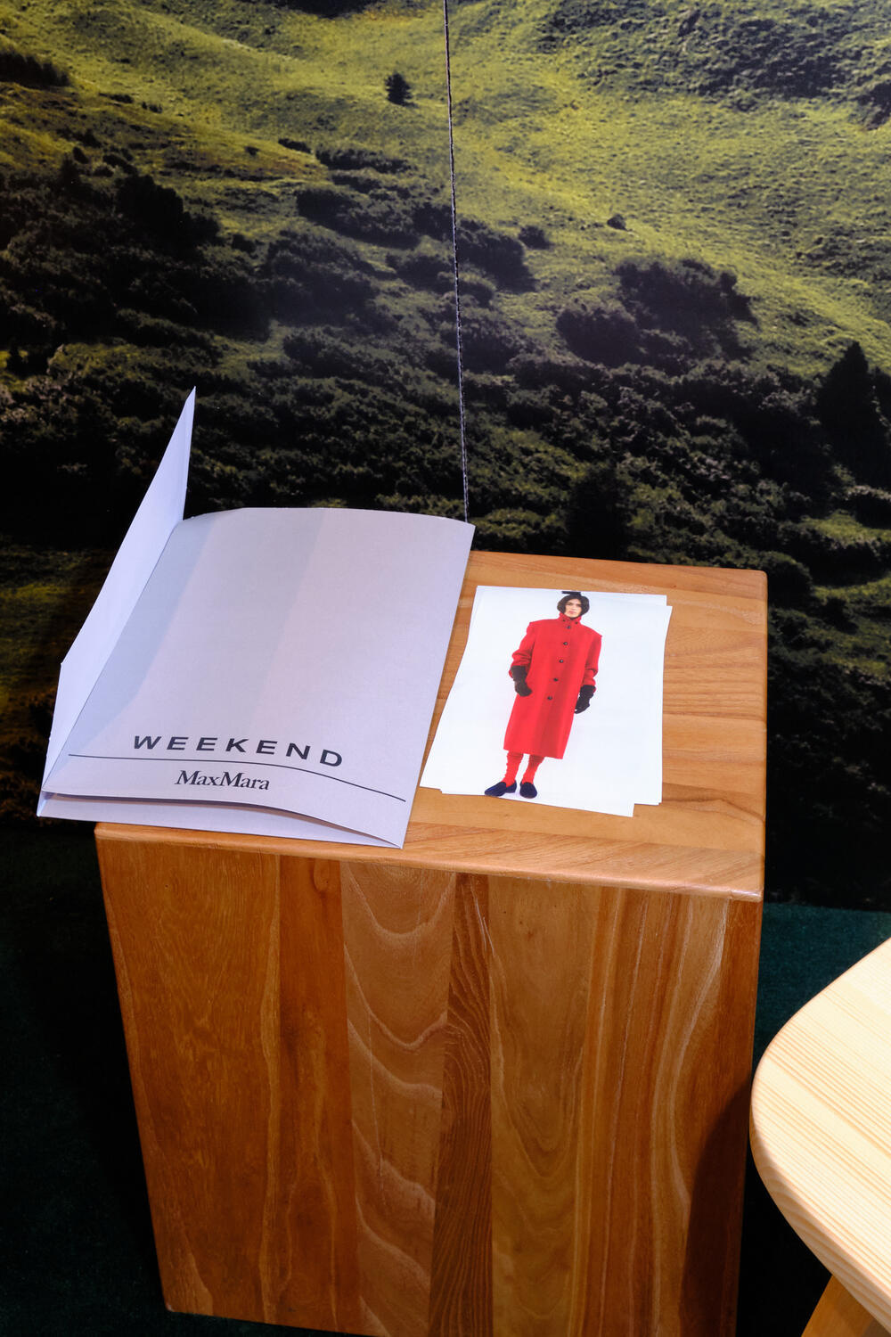 WEEKEND MAX MARA WITH ROBERT RABENSTEINER