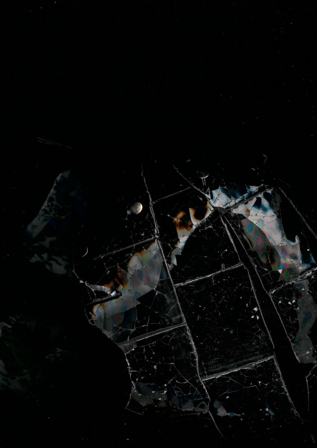 LIWEN LIANG WOMEN FW 26-27 - Foto #1