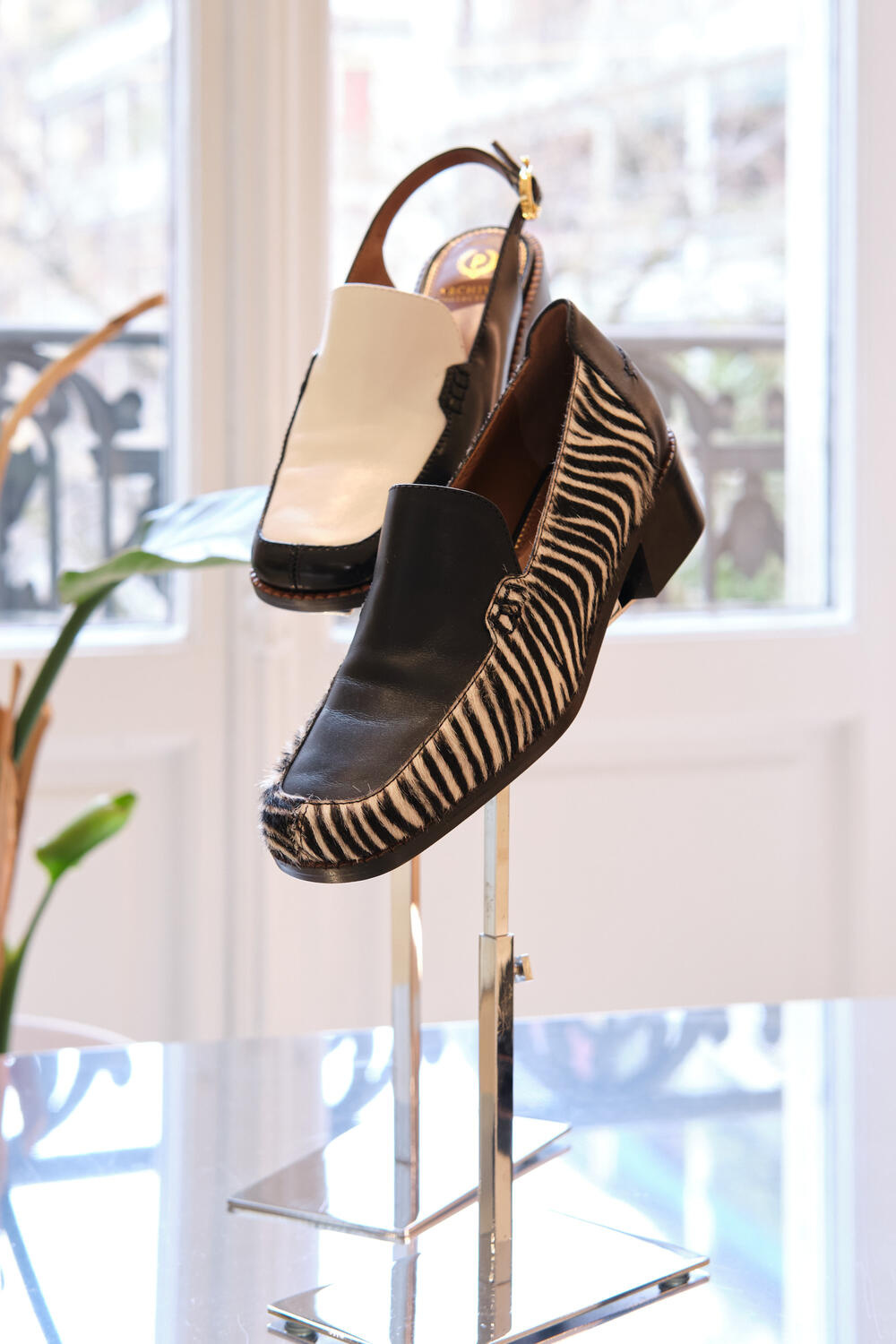 POLLINI WOMEN FW 26-27 - Foto #18