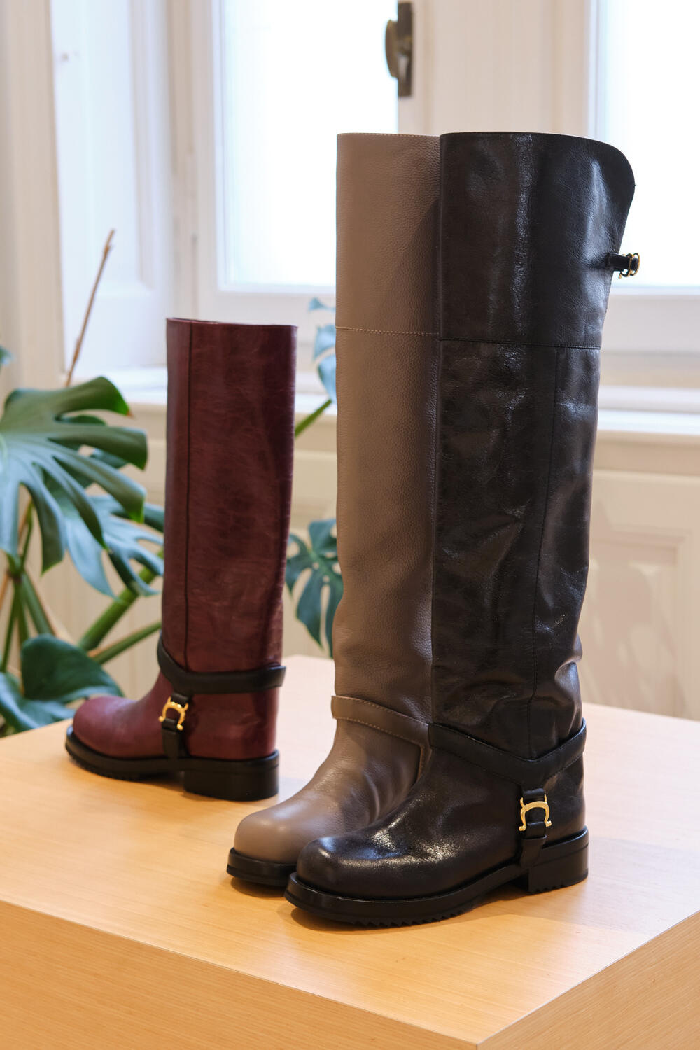 POLLINI WOMEN FW 26-27 - Foto #52