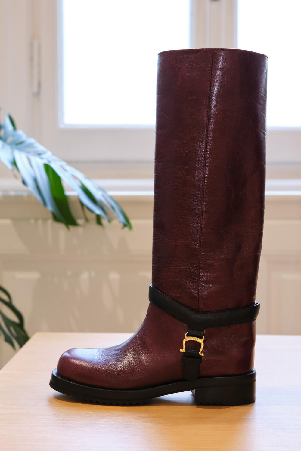 POLLINI WOMEN FW 26-27 - Foto #53