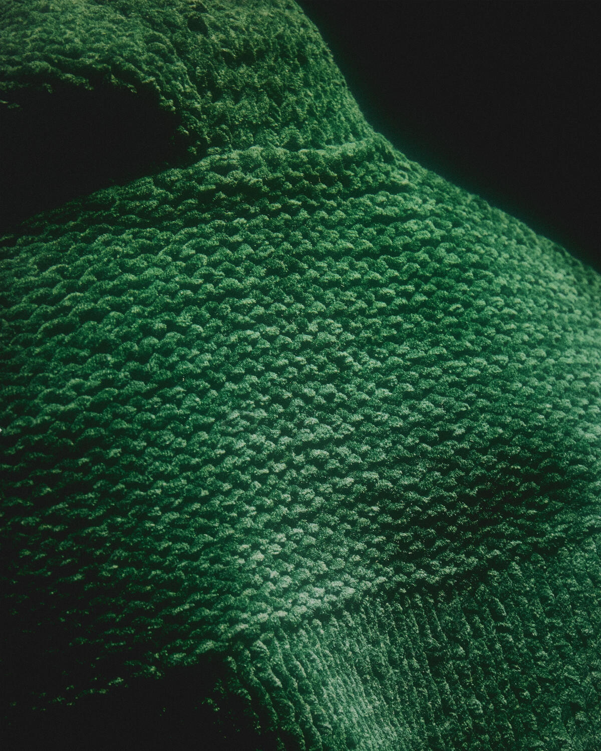 STONE ISLAND MEN FW 26-27 - Foto #22