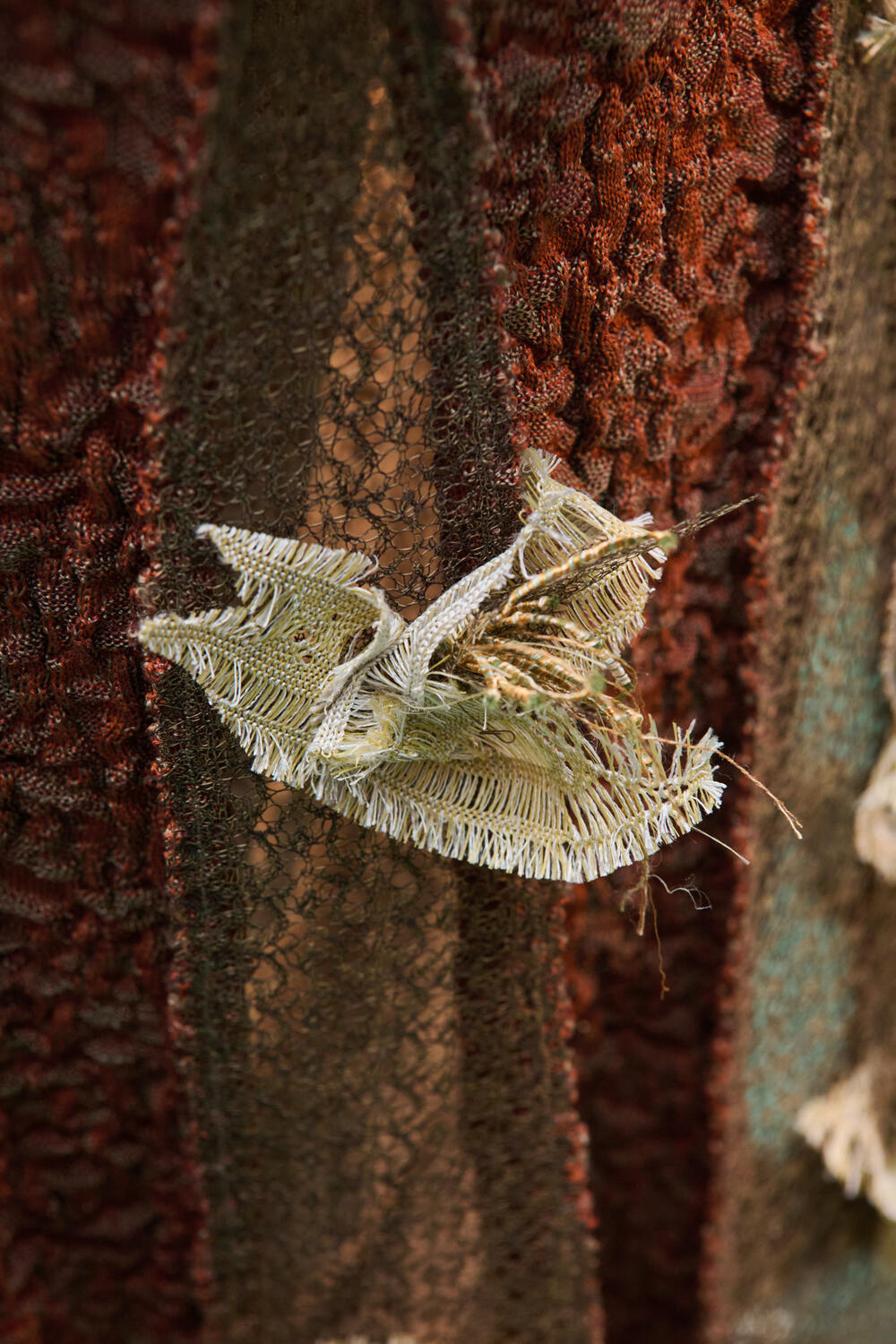 PECORANERA MEN FW 26-27 - Foto #12