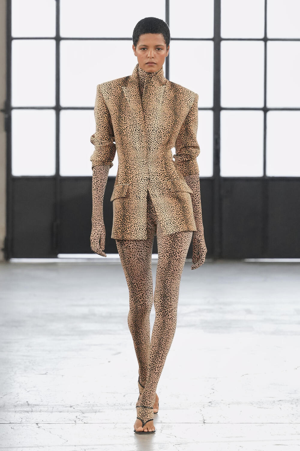 ELISABETTA FRANCHI