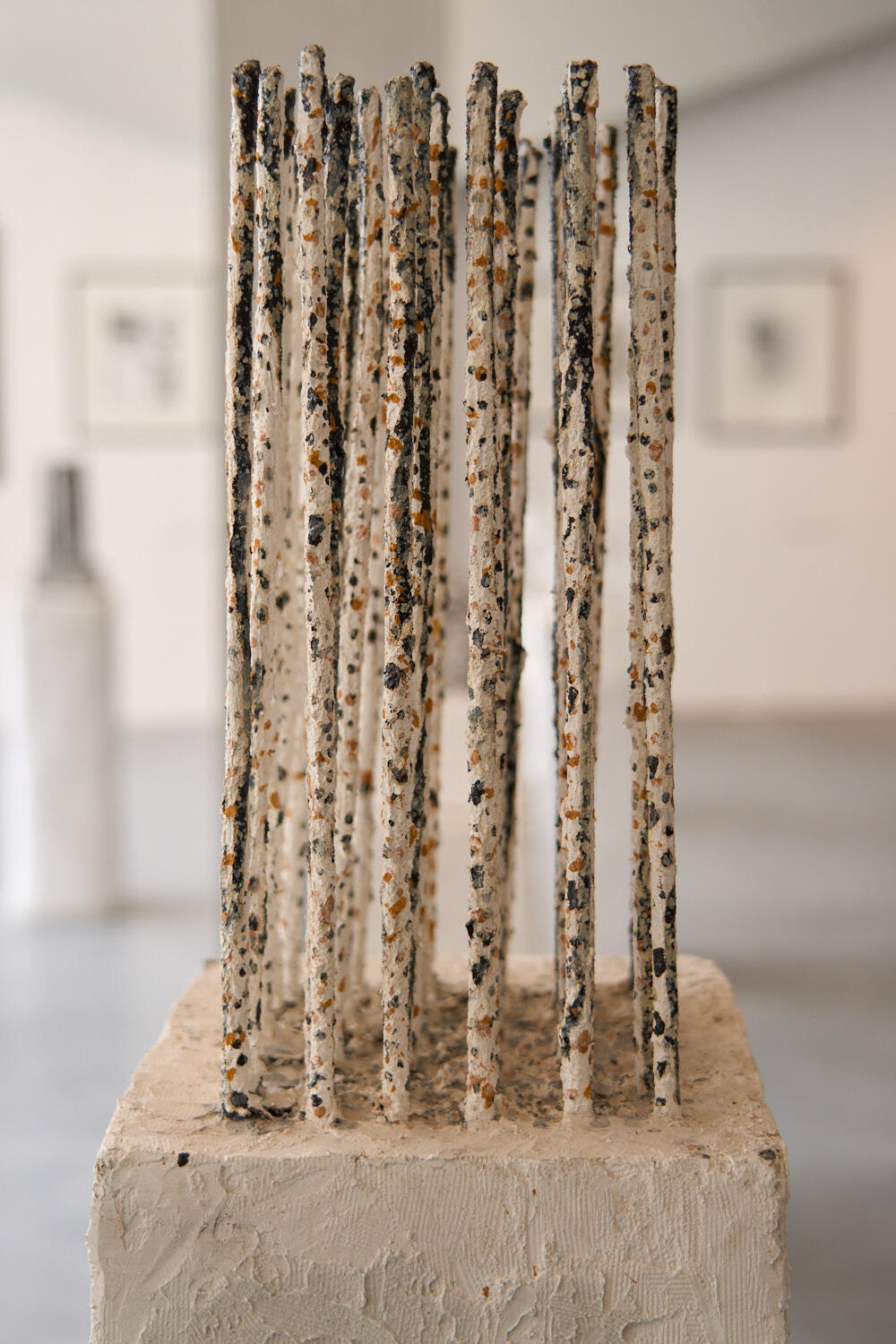 Fotoservizio/SS 2026/DESIGN/EVENTO/FONDAZIONE SOZZANI/DP2/43