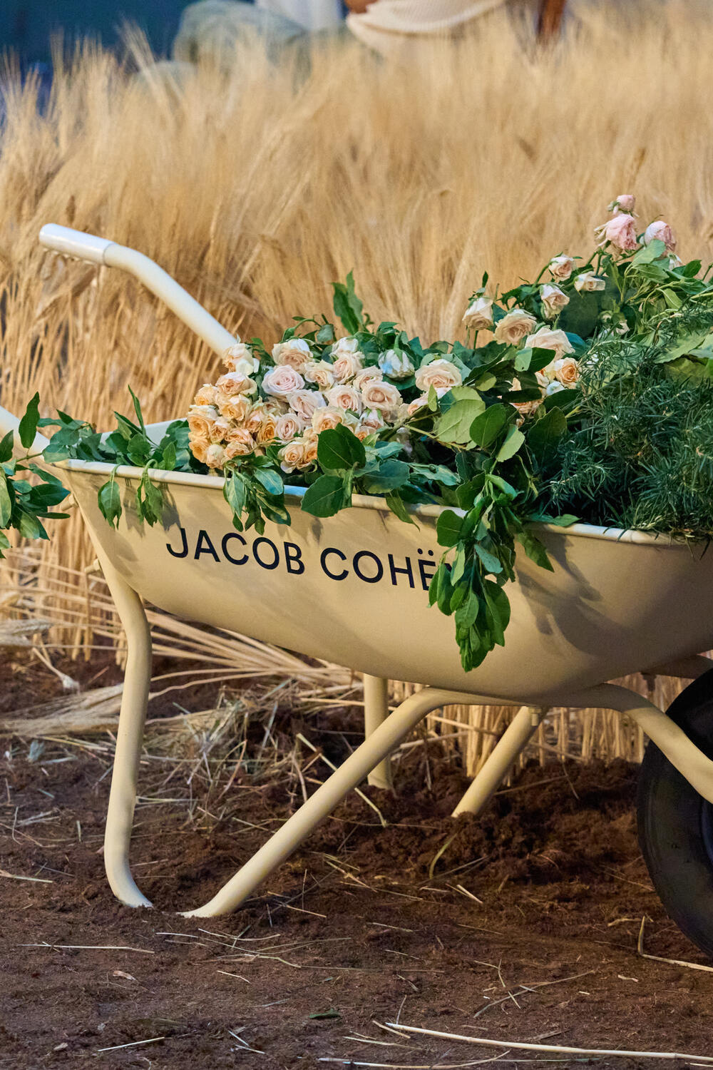 JACOB COHËN