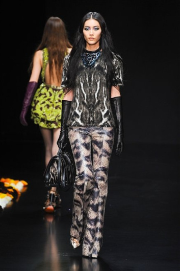 Fotoservizio/FW 2012-2013/WOMEN/ROBERTO CAVALLI/14