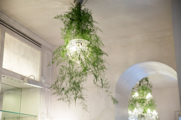 Fotoservizio/SS 2016/DESIGN/LUISA BECCARIA/DP2/33