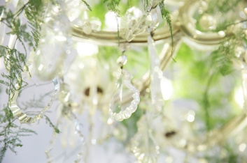 Fotoservizio/SS 2016/DESIGN/LUISA BECCARIA/DP2/48