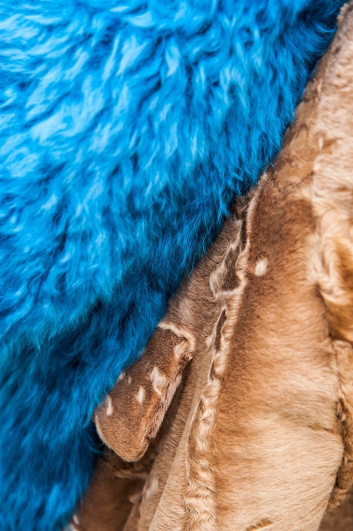 Fotoservizio/FW 2017-2018/WOMEN/SANTONI EDITED BY MARCO ZANINI/DP2/13