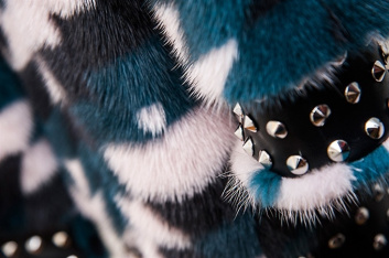 Fotoservizio/FW 2017-2018/WOMEN/VLADIMIRO GIOIA/DP2/35