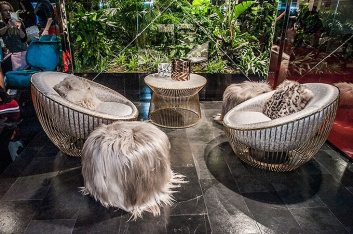 Fotoservizio/SS 2017/DESIGN/ROBERTO CAVALLI HOME/DP2/0