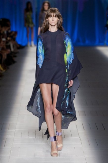 Fotoservizio/SS 2013/WOMEN/JUST CAVALLI/DP1/33