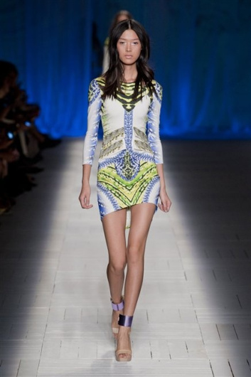 Fotoservizio/SS 2013/WOMEN/JUST CAVALLI/DP1/41